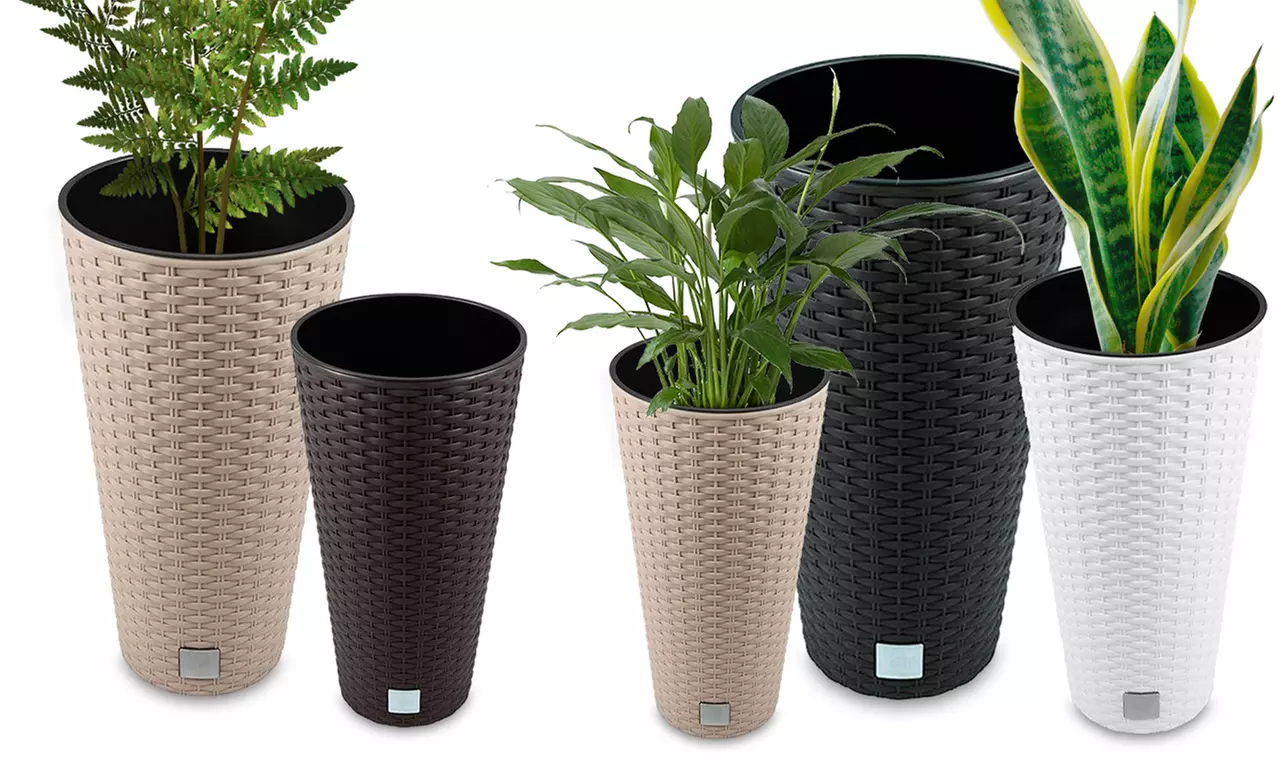 Sélection de pots Prosperplast, collection Rato Tubus, pour plantes d'intérieur et extérieur - Primary Image