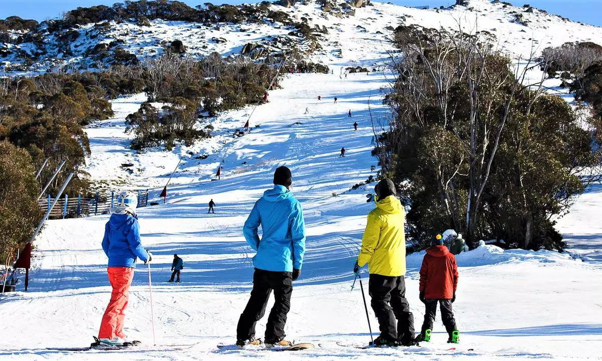 Canberra to Perisher or Thredbo: One-Day Snow Trip with Transfers for One Person with Ozia Tours - Primary Image