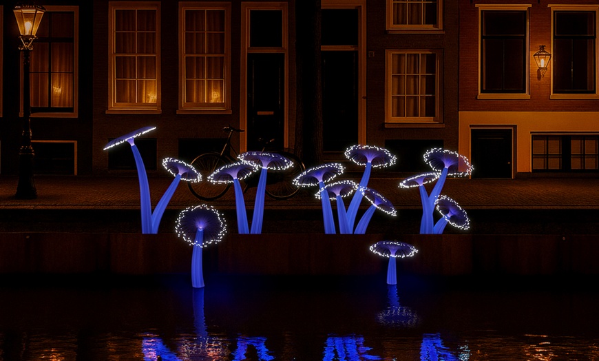 Image 6: Beleef het Amsterdam Light Festival in stijl: overdekte verwarmde boot