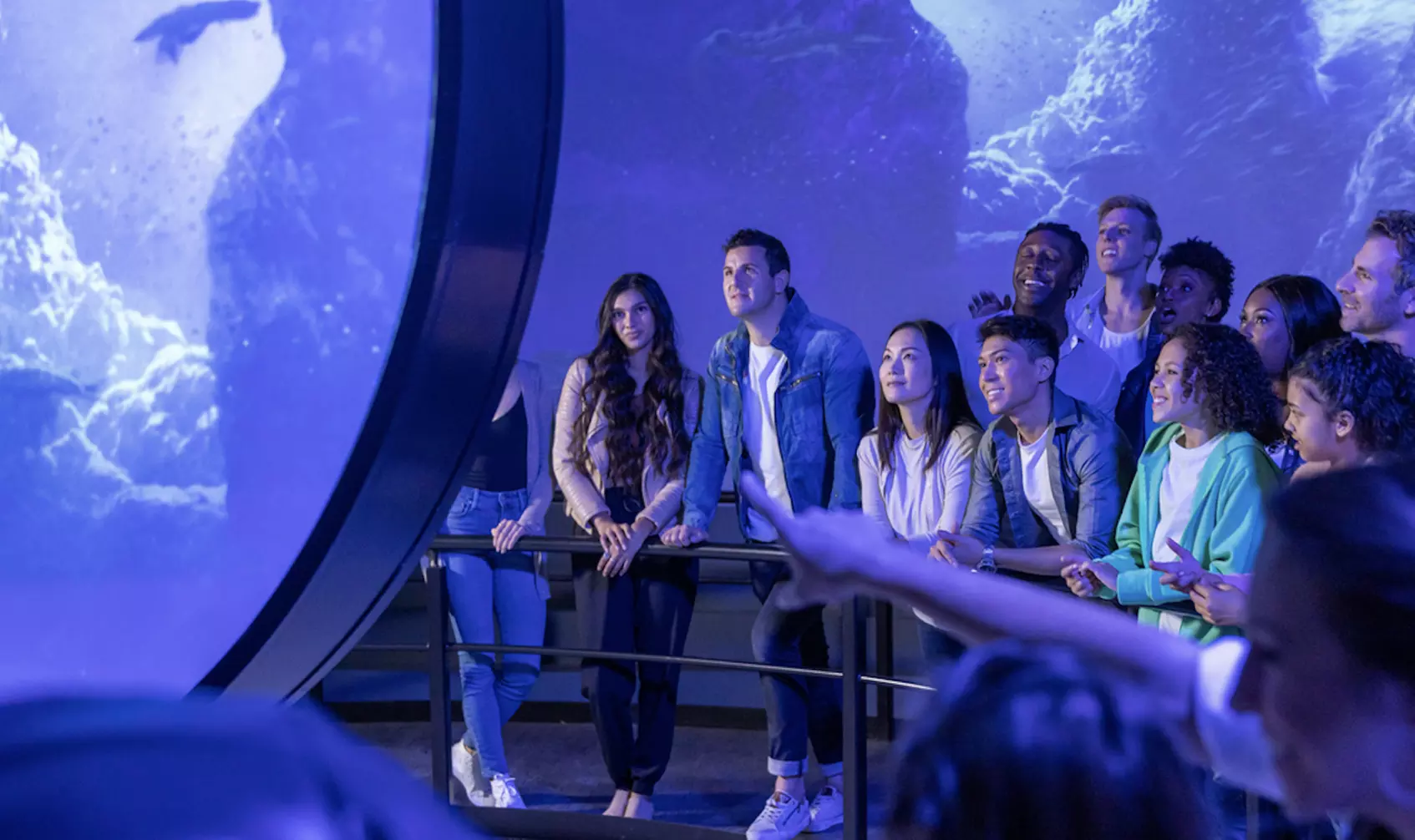 Immersive Flight Rides at FlyOver Las Vegas 
