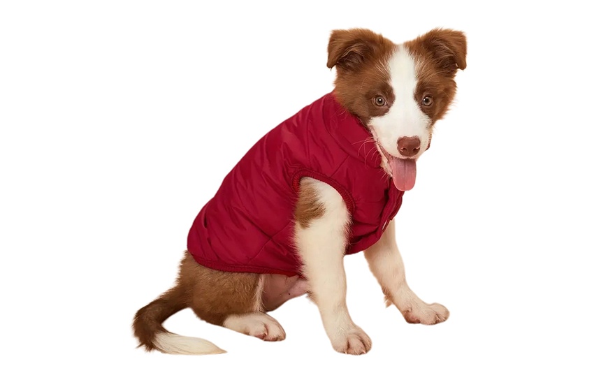 Image 3: Warm Lined Dog Coat Winter Jacket