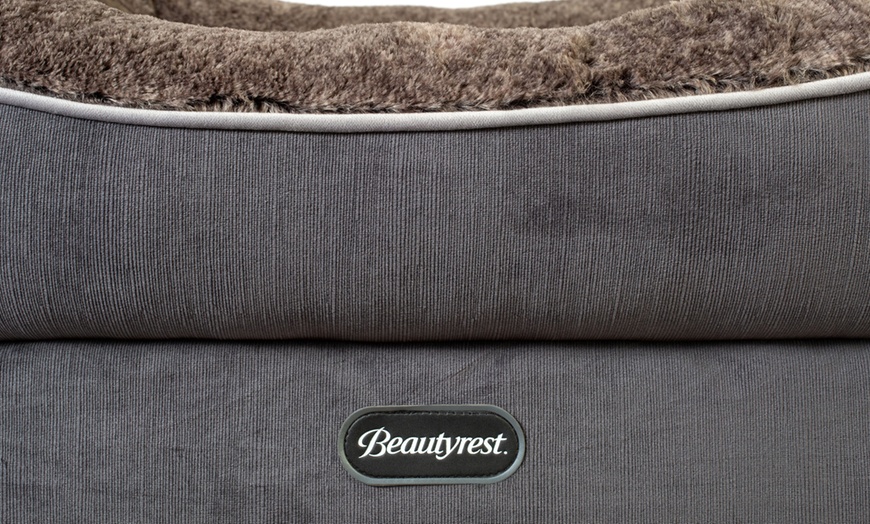 beautyrest ultra plush cuddler dog bed