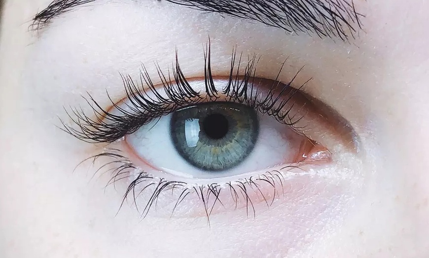 Image 9: Cuidado para pestañas y cejas: lifting y tinte, laminado o depilación 