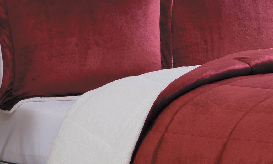 Image 7: Micromink and Sherpa Reversible Comforter Set (2- or 3-Piece)