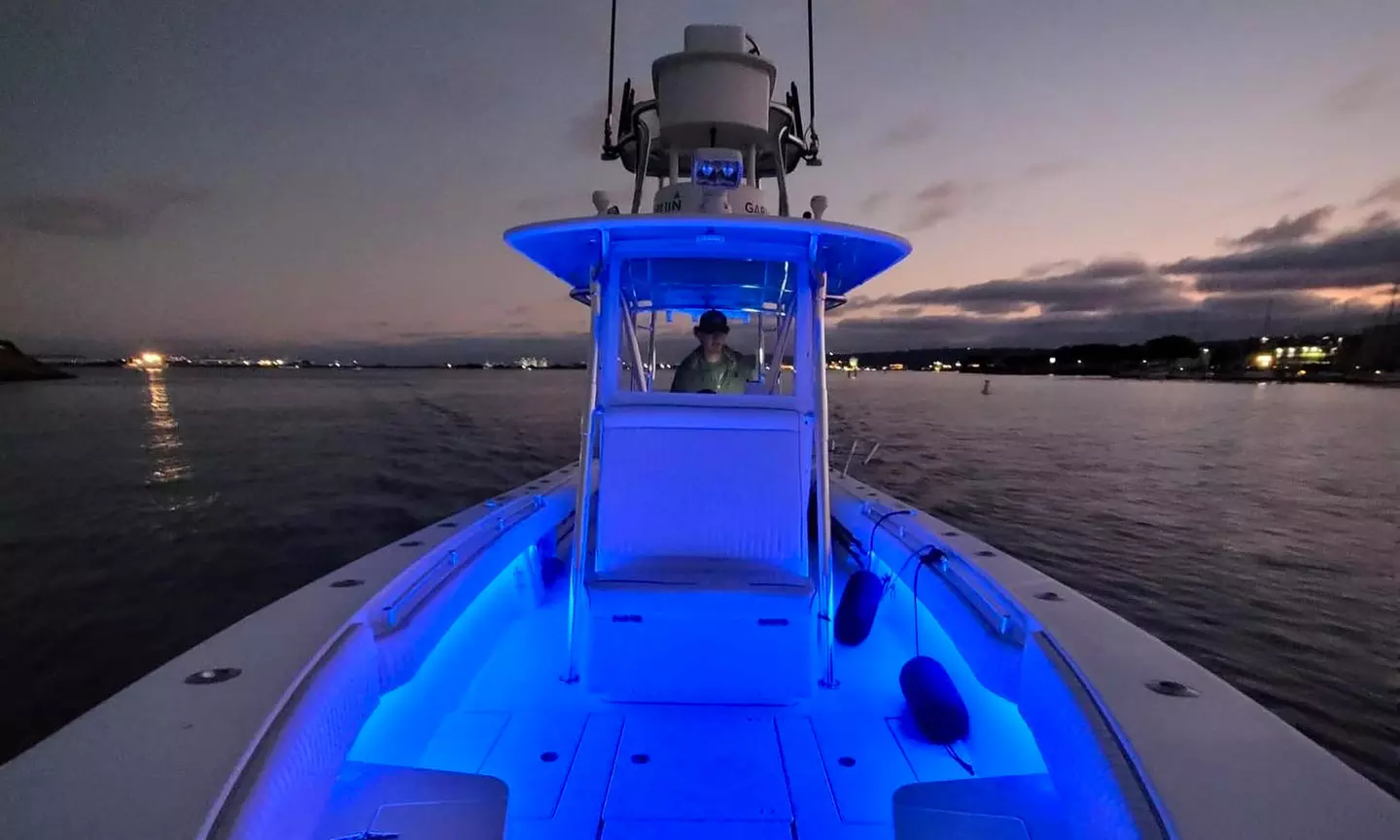 Bay, Whale or Dolphin, Rockfishing and Lobster Diving Tour at Reel Deep Sportfishing - Second Medium