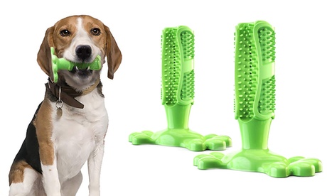 1 o 2 giocattoli spazzoladenti per cani, disponibili in 2 misure