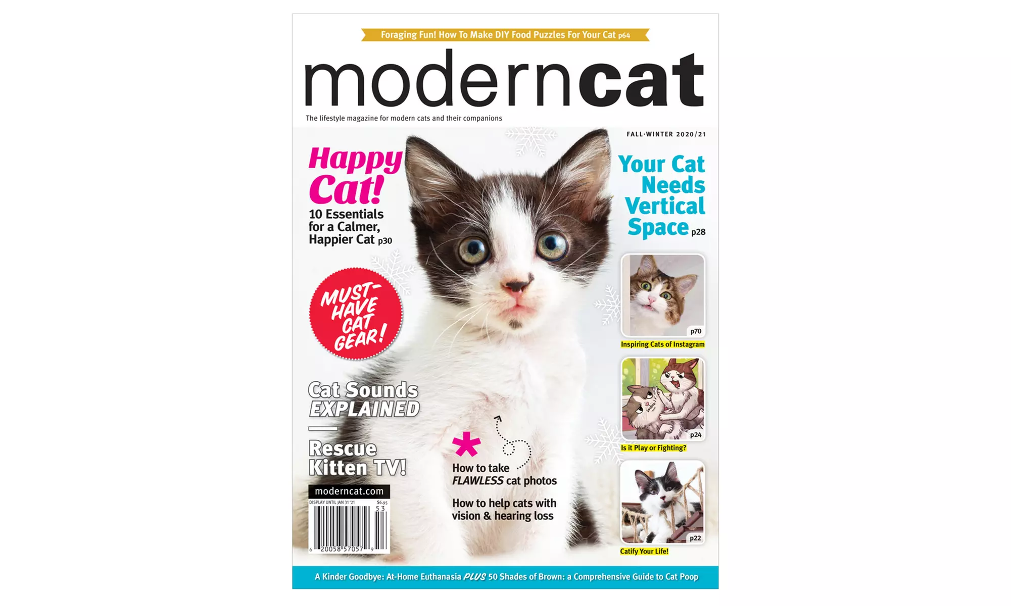 One-Year Subscription to Modern Cat (62% Off) - Primary Image