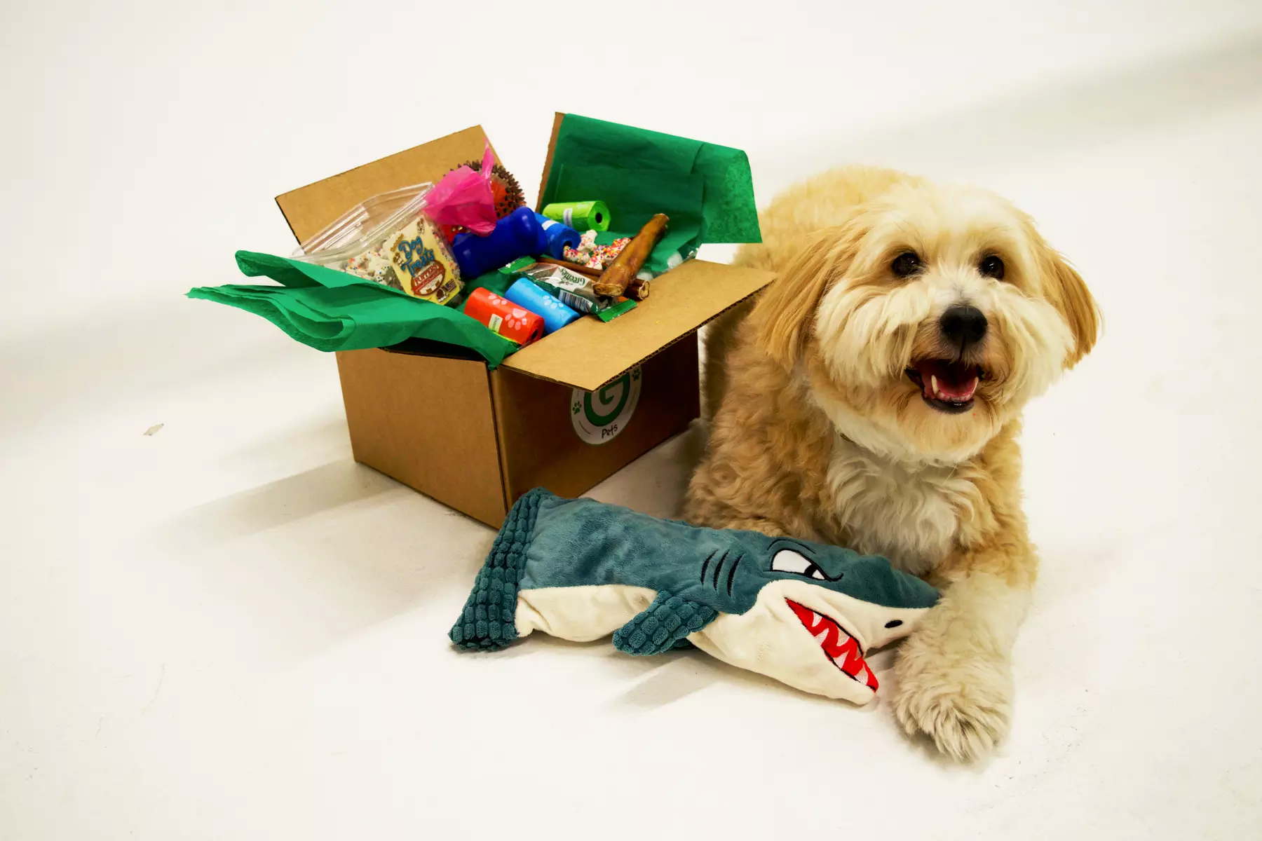 Groupon Pets - Surprise Dog Box (Monthly Subscription - $19.99/Box) - Image 3
