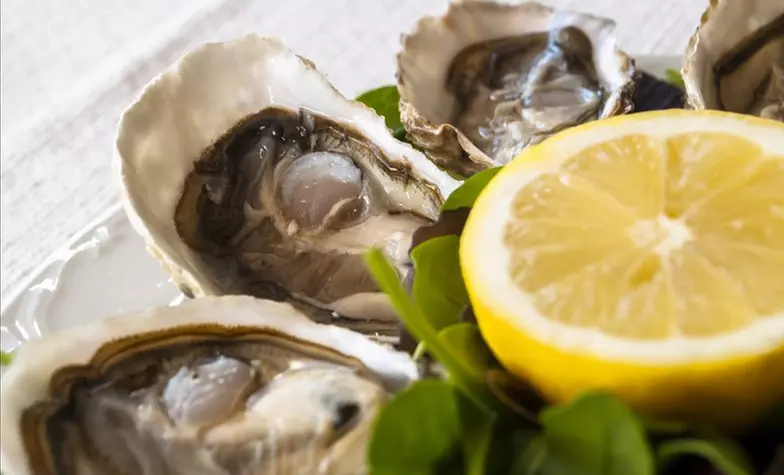 American, Italian, and Seafood Cuisine at Caffe Regatta (Up To 42% Off) - Primary Image