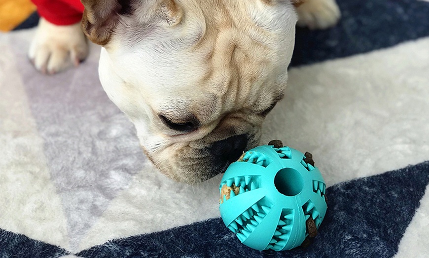 Image 7: Dog Chewing Ball Toy