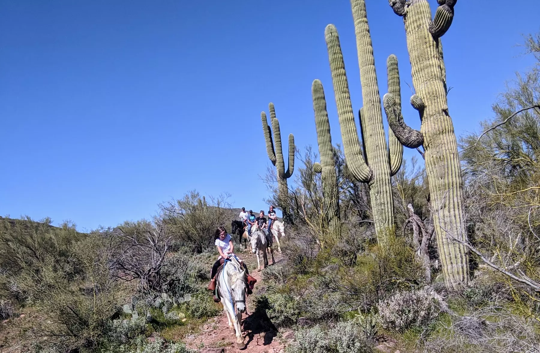 Betty's Trail Ride Deal: One-Hour Horseback with Up to 22% Off