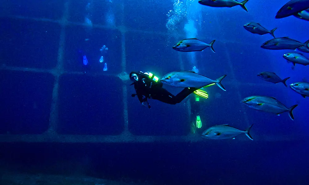 Exploraciones submarinas garantizadas con instructores expertos