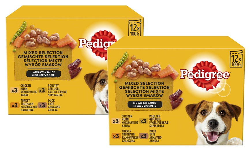 Image 5: Food pouches adult or senior dog, Pedigree