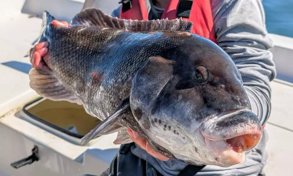 Fishing Trip – Options for 1, 2, or 4 People