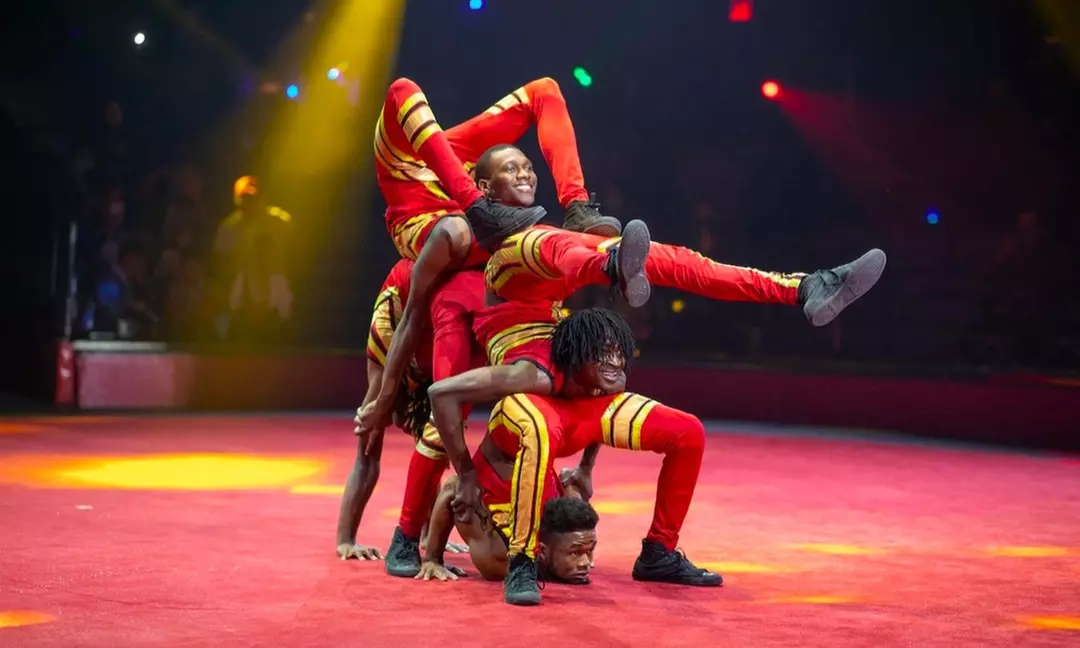 Circus Vazquez (October 15–October 25) - Second Medium