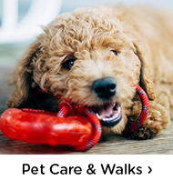 Pet Care & Walks