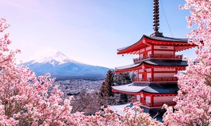 ✈ 9-Day Tour of Japan with Air from Affordable World Tours