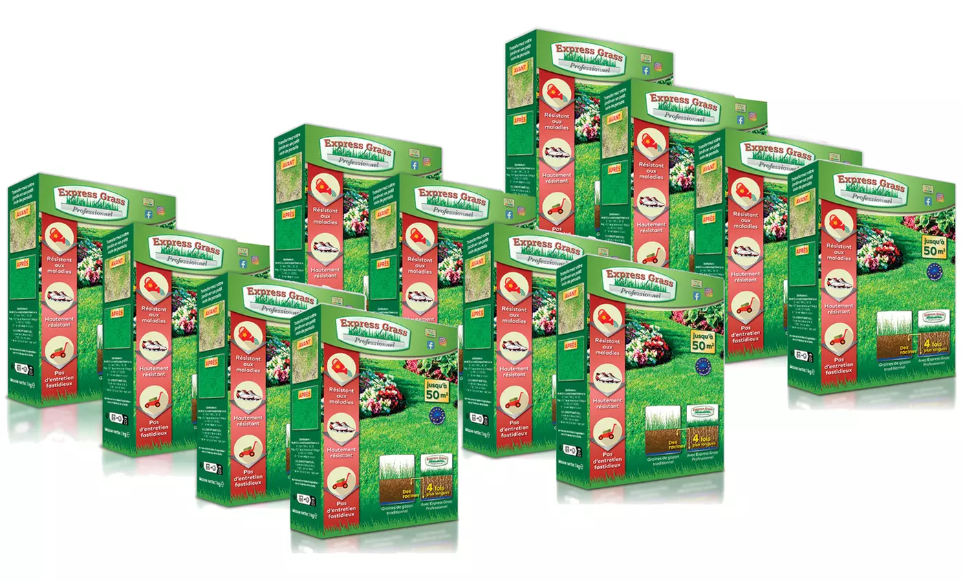 Graines de gazon express traditionnel