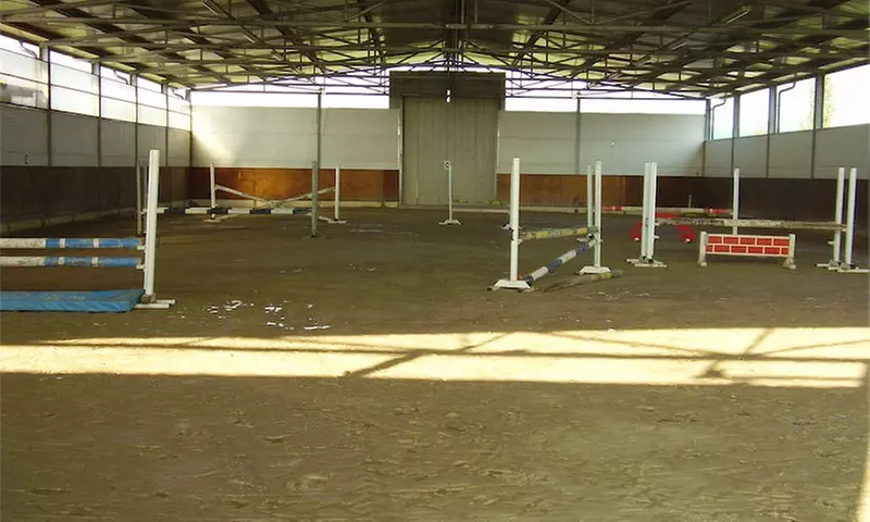 3 lezioni di equitazione con istruttore federale da Centro Ippico Sportivo La Botte (sconto fino a 75%) - Image 5