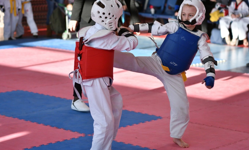 Image 4: One-Month Unlimited Taekwondo