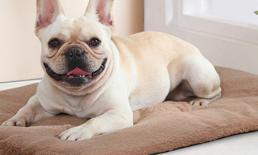 Image 7: Self-Warming Pet Blanket Bed Pad