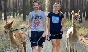 2,5 Std. Alpaka-Wanderung durch die Rochauer Heide für 1-4 Personen bei Alpaca Island (bis zu 21% sparen)