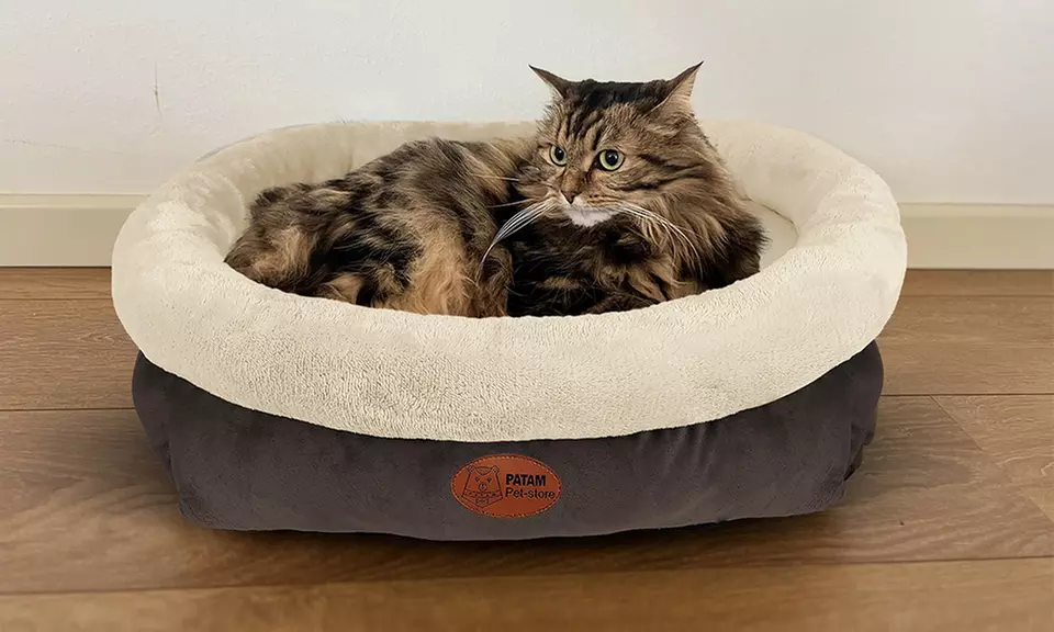 Cucce, lettini e divanetti per cani e gatti in vari modelli e misure