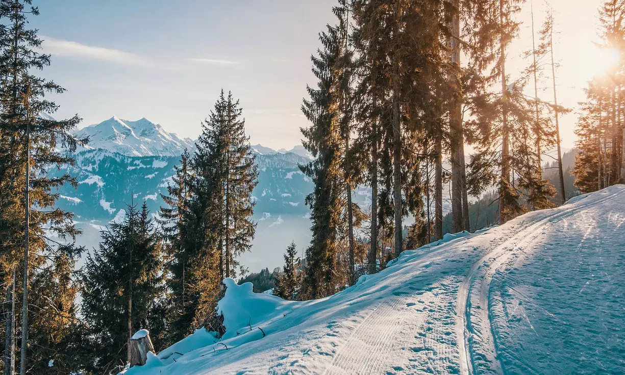 Kurztrip Special: 1 Nacht inkl. Frühstück in 69 Hotels zur Wahl