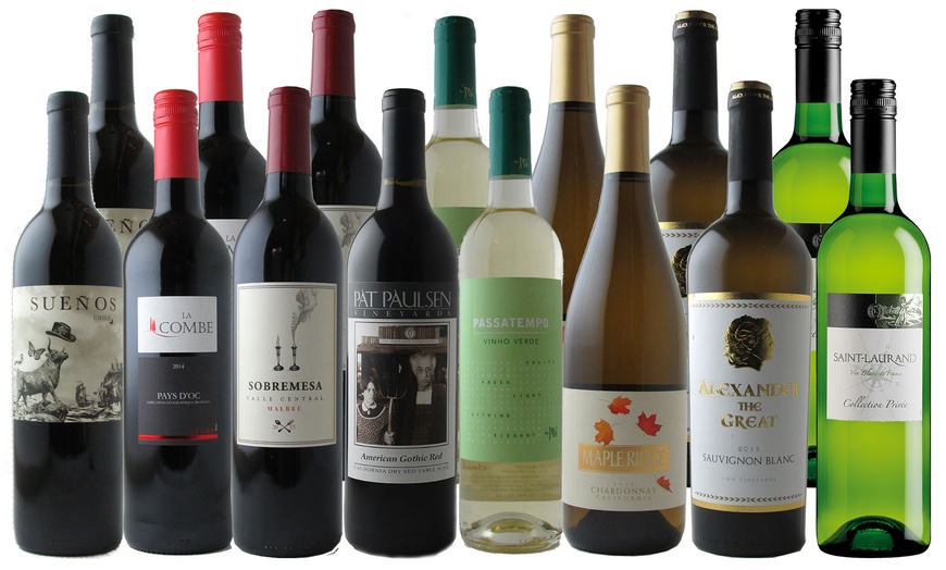 15-Bottle Wine Pack - Splash Wines | Groupon