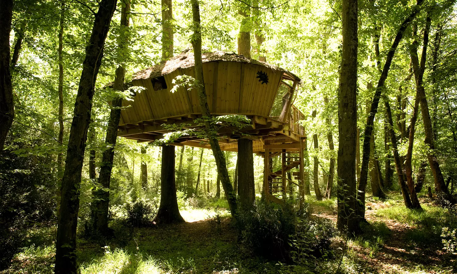 Proche Vallée des singes : 1 à 2 nuits pour 2 à 6 pers en cabane dans les arbres ou en Lodge aux Cabanes de la Belle - Primary Image