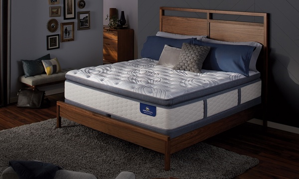 Serta perfect sleeper trelleburg deals ii plush