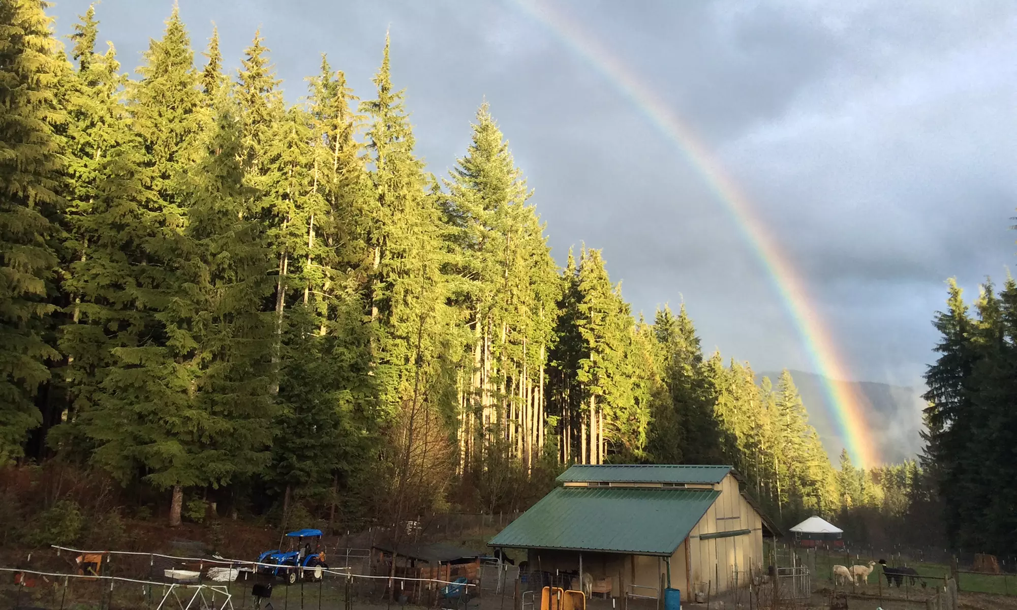 2-Night Stay for Up to Four in a Yurt at Paca Pride Guest Ranch in Granite Falls, WA. Combine Up to 10 Nights. - Primary Image