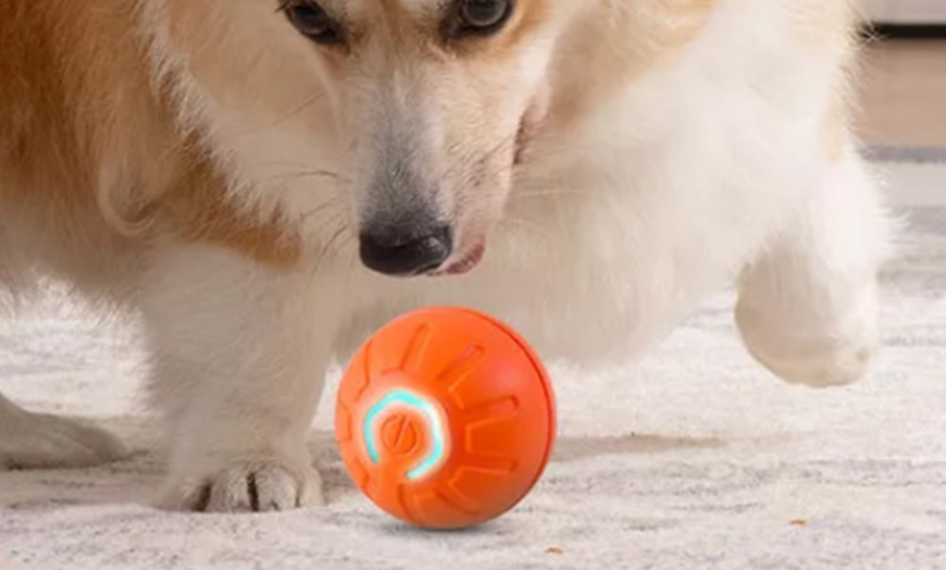 Image 2: Vibrating Ball For Pet
