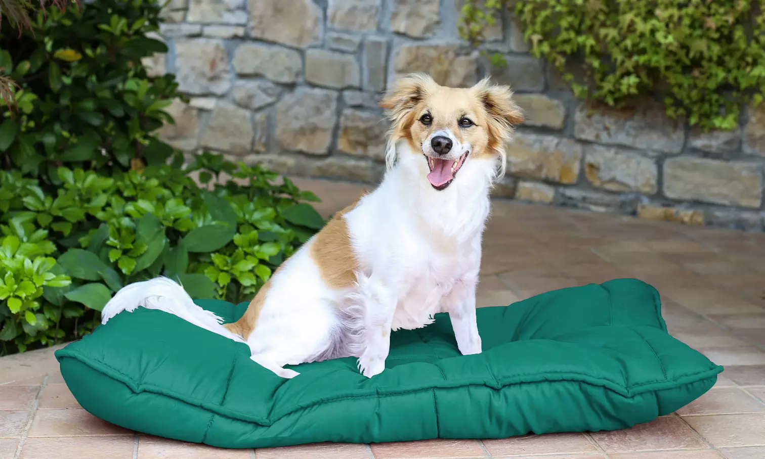 1 à 3 maxi matelas-coussins pour chien et chat - Primary Image
