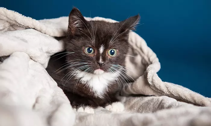 60 Min. studioline PHOTOGRAPHY Fotoshooting Erlebnis + Goldcard