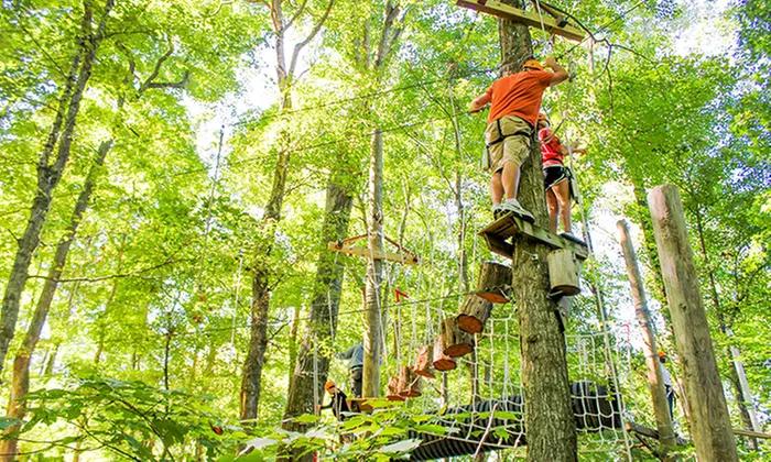 Canopy Zipline Tour in Nashville West with 9 Ziplines!