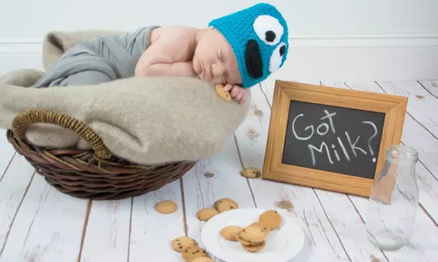 $400 for $800 Worth of Services — Baby Gaga Photography - Primary Image