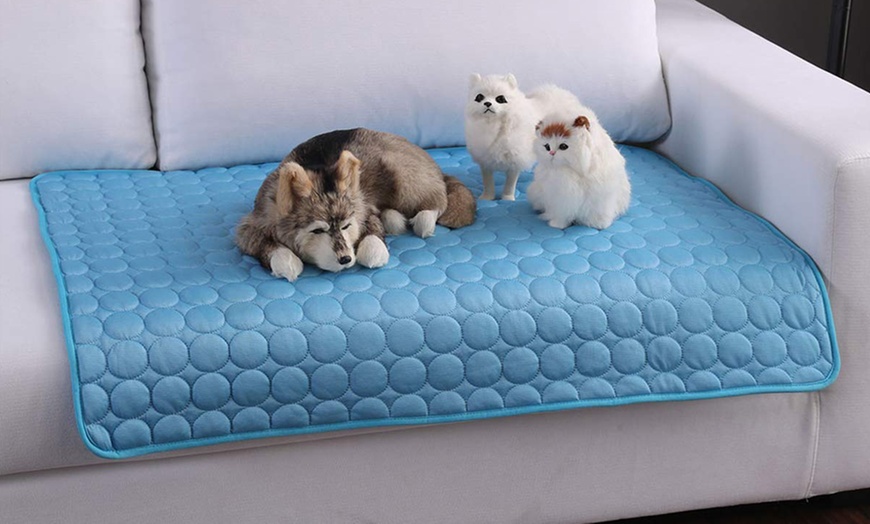 Image 6: Pet Cooling Gel Pad