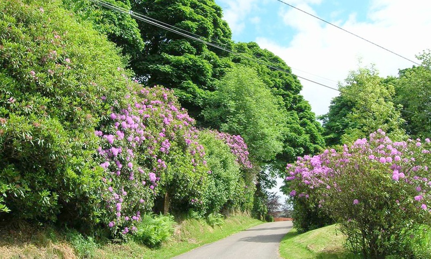 Image 14: Cumbria: Overnight Stay with Breakfast