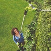 Image 1: Garden Gear Telescopic or Extendable Hedge Trimmers