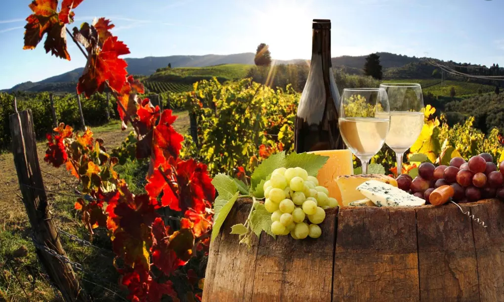 VIP Wine Tasting Experience with Cheese and Crackers for Two or Four at Duck Walk Vineyards (Up to 40% Off) - Primary Image
