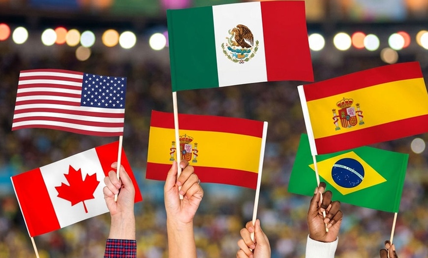 Image 5: Custom World Cup Flag Capes and Flags - Up to 83% Off