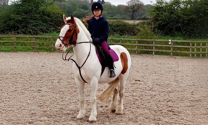 Image 2: One-Hour Kids’ Pony Experience for One or Two Children
