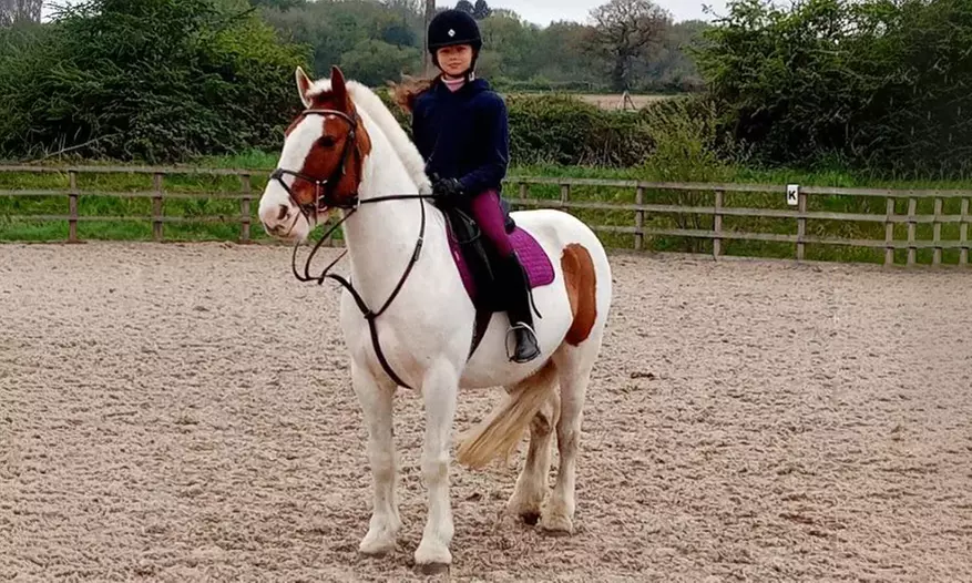 One-Hour Kids’ Pony Experience for One or Two Children