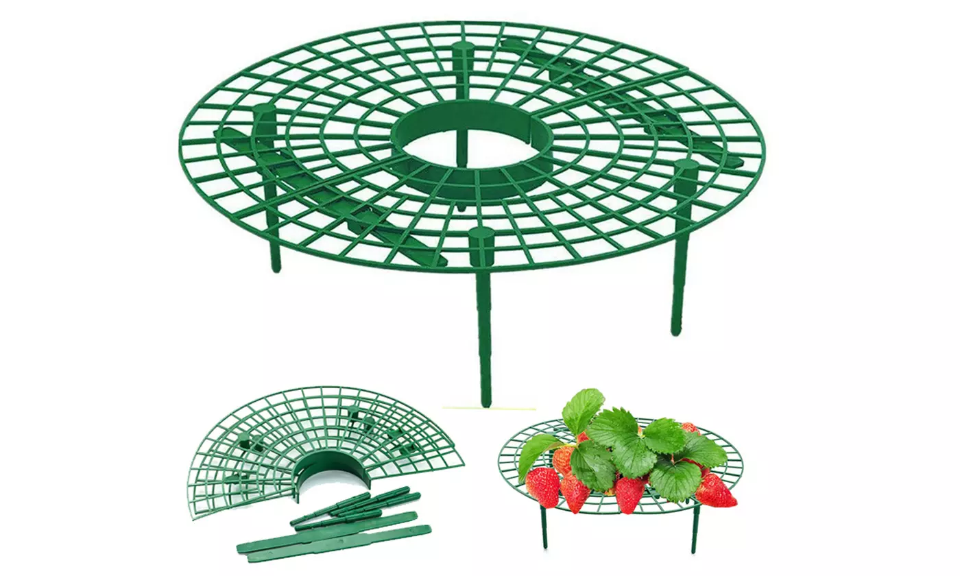 Strawberry Stand Frame Holder Balcony Planting Rack Fruit Support Adjustable