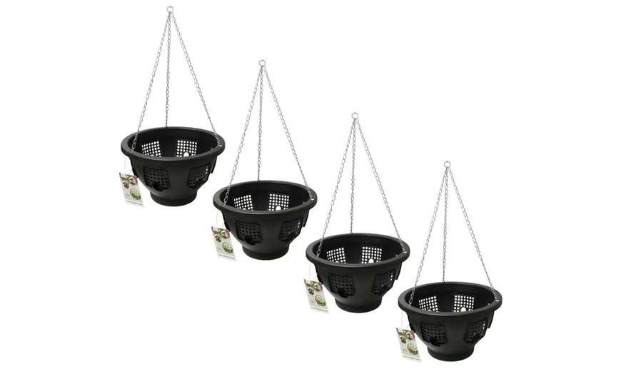 Image 4: Two, Three or Four Flower Bloom Hanging Baskets