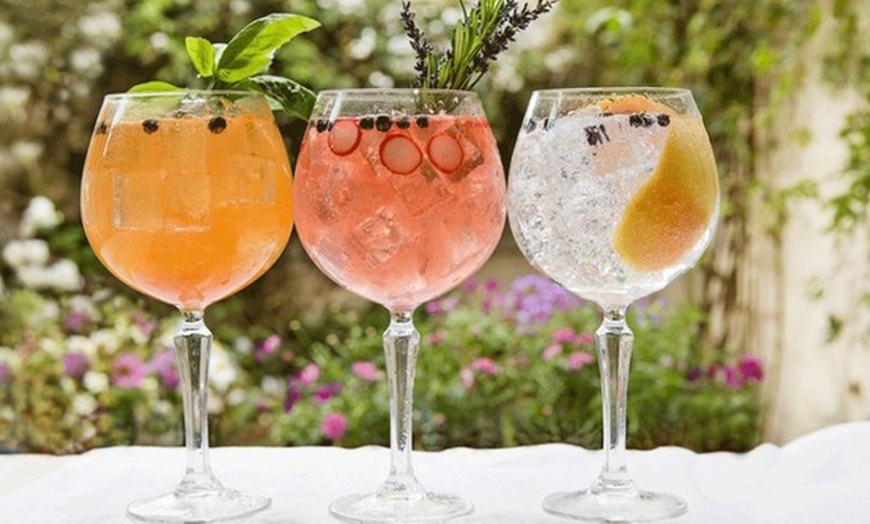 Image 2: Trio of Gins with Mixers