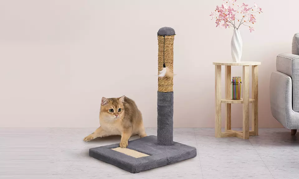 Tiragraffi in sisal naturale con base rinforzata in vari modelli e colori