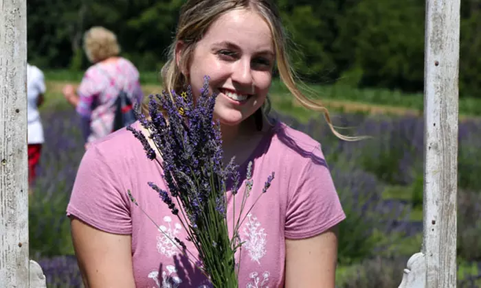Experience the Lavender Festival – Family Fun, Live Music, and Scenic Rides (Up to 38% Off) At Maple Lawn Farm