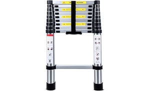 Telescopic Ladder